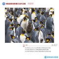 呵護